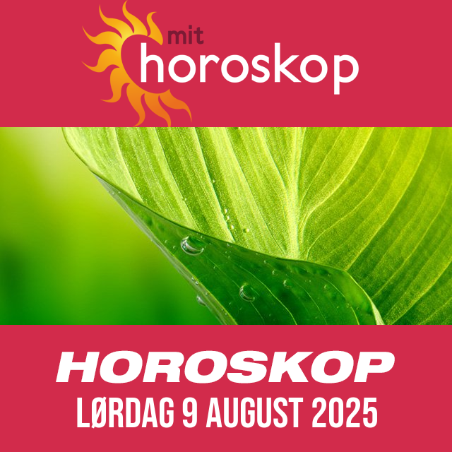 Daglig horoskop for Lørdag 9 August 2025