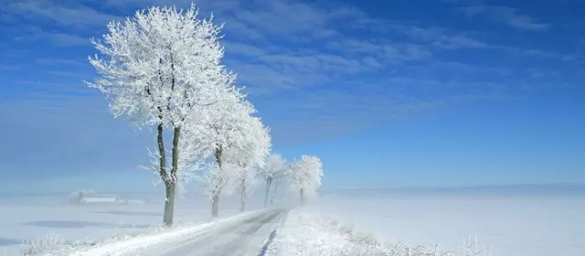 Horoskop for  Lørdag 3 Januar 2026