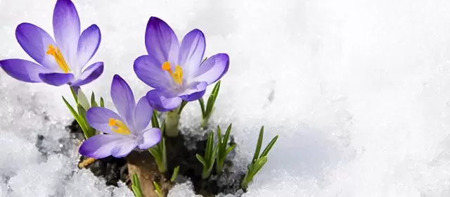 Horoskop for Onsdag 7 Januar 2026