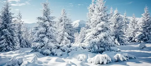 Horoskop for Lørdag 24 Januar 2026