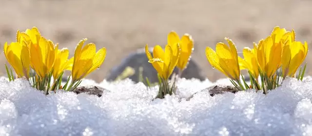 Horoskop for Søndag 25 Januar 2026