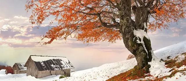 Horoskop for  Lørdag 31 Januar 2026