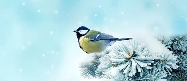 Horoskop for  Mandag 2 Februar 2026