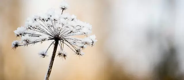 Horoskop for Tirsdag 3 Februar 2026