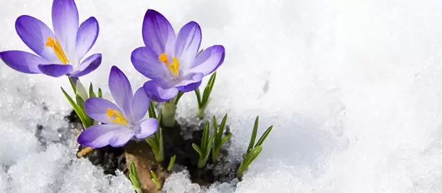 Horoskop for  Torsdag 5 Februar 2026