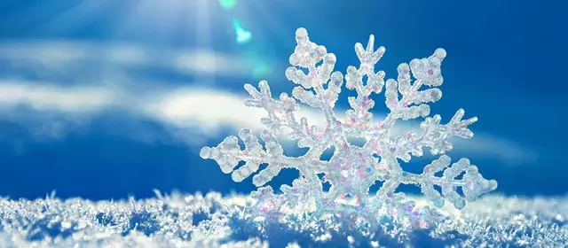 Horoskop for  Lørdag 7 Februar 2026