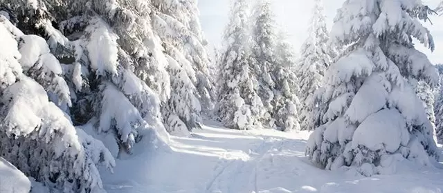 Horoskop for  Onsdag 11 Februar 2026