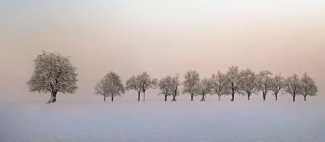 Horoskop for  Mandag 16 Februar 2026