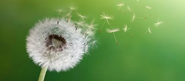 Horoskop for  Onsdag 11 Marts 2026