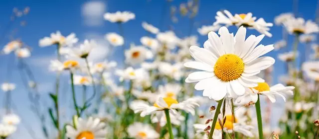 Horoskop for Søndag 15 Marts 2026