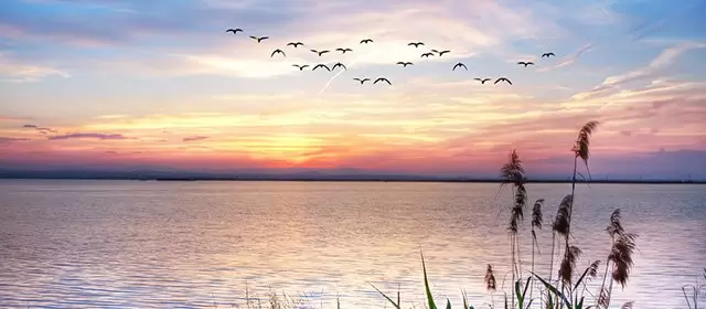 Horoskop for  Mandag 16 Marts 2026