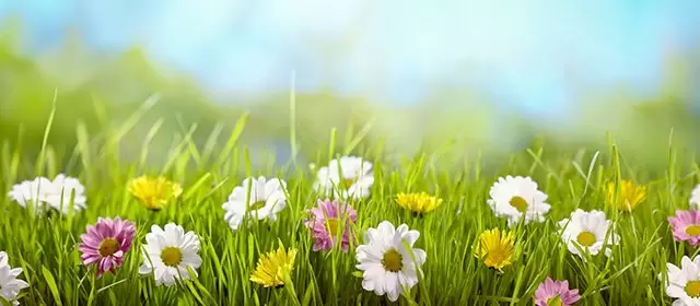 Horoskop for Fredag 28 Marts 2025