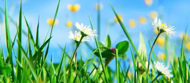 Horoskop for  Fredag 3 April 2026