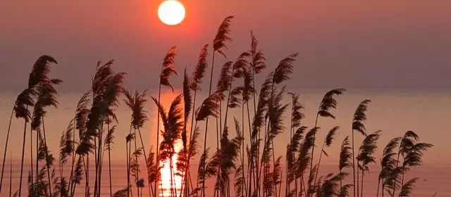 Horoskop for  Søndag 5 April 2026