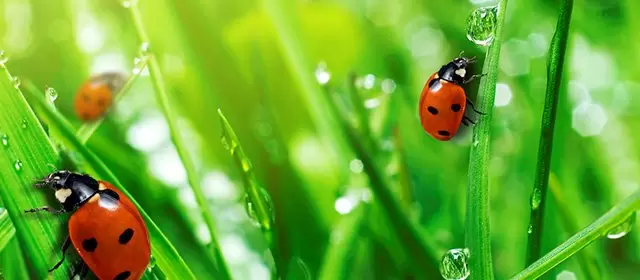 Horoskop for  Søndag 12 April 2026