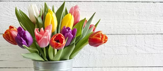 Horoskop for  Tirsdag 14 April 2026