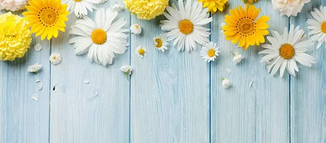 Horoskop for  Søndag 19 April 2026