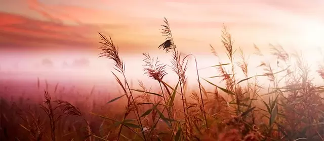 Horoskop for Mandag 5 Maj 2025
