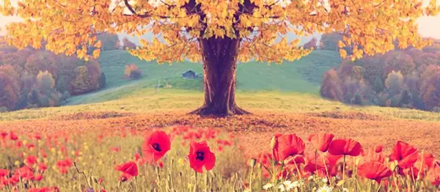 Horoskop for Onsdag 21 Maj 2025