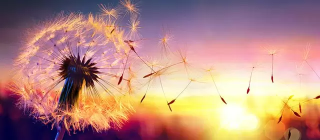 Horoskop for Søndag 25 Maj 2025