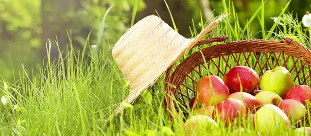 Horoskop for Mandag 9 Juni 2025