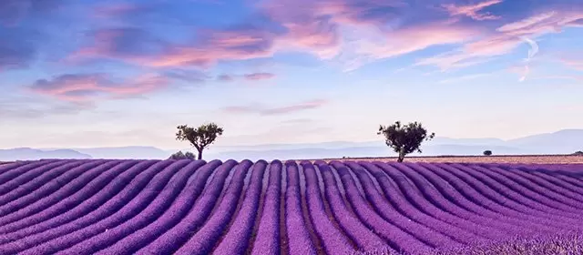 Horoskop for Torsdag 24 Juli 2025