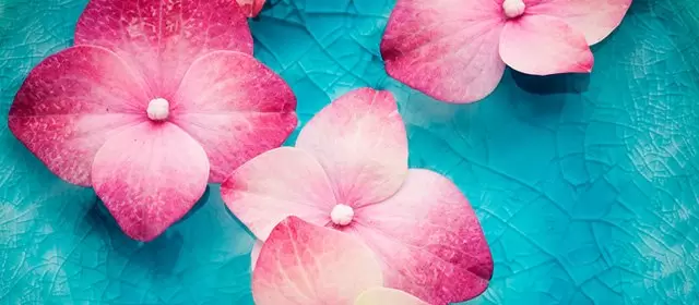 Horoskop for Torsdag 7 August 2025