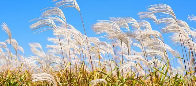 Horoskop for Lørdag 27 September 2025