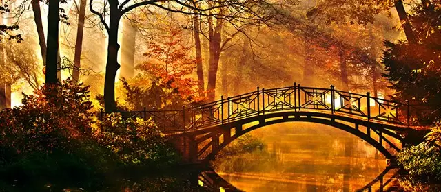 Horoskop for Søndag 12 Oktober 2025