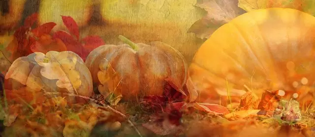 Horoskop for  Fredag 31 Oktober 2025