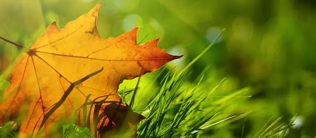 Horoskop for  Tirsdag 11 November 2025