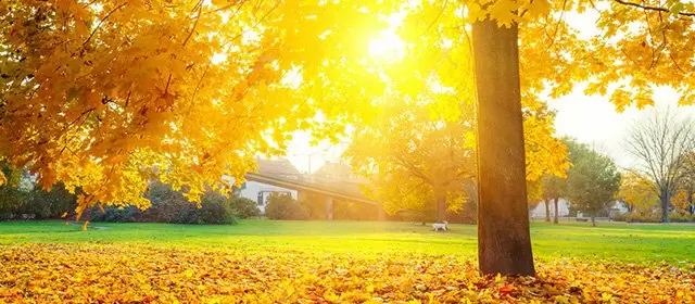 Horoskop for  Onsdag 12 November 2025