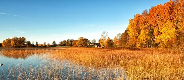 Horoskop for  Torsdag 13 November 2025