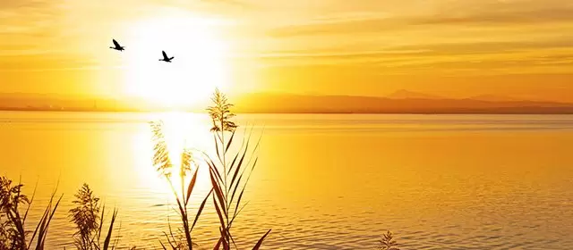 Horoskop for  Fredag 14 November 2025