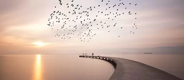 Horoskop for Torsdag 20 November 2025