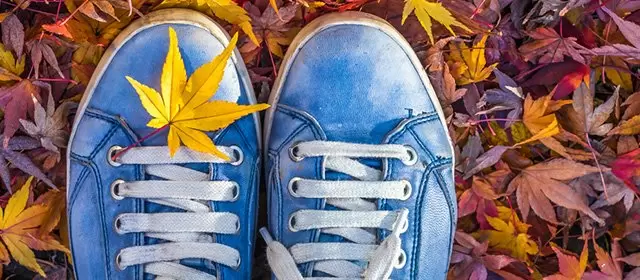 Horoskop for Fredag 21 November 2025