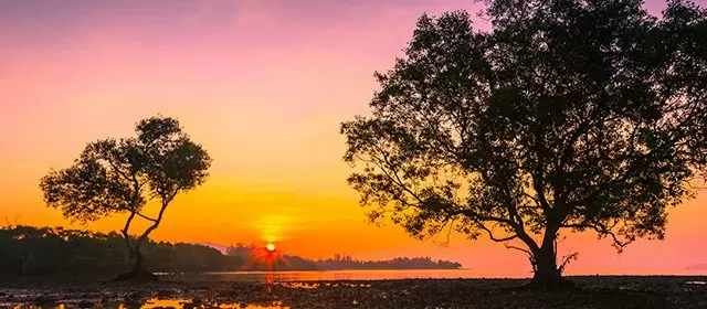 Horoskop for Lørdag 22 November 2025