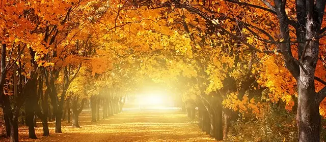 Horoskop for Mandag 24 November 2025