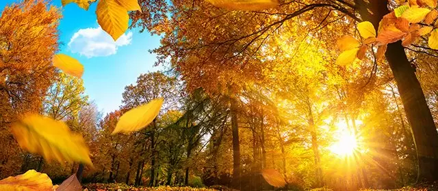 Horoskop for Onsdag 26 November 2025