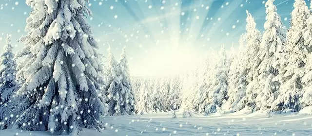 Horoskop for  Lørdag 6 December 2025