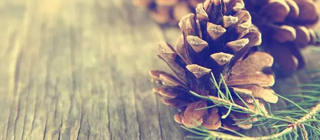 Horoskop for Søndag 7 December 2025