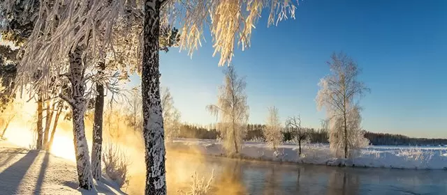 Horoskop for  Lørdag 20 December 2025