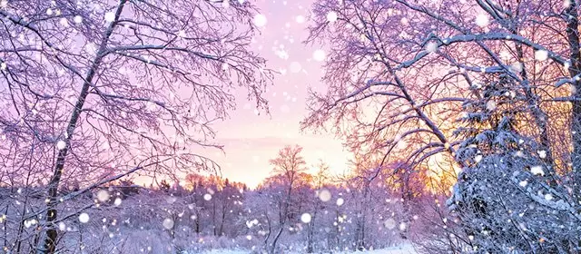 Horoskop for  Mandag 22 December 2025