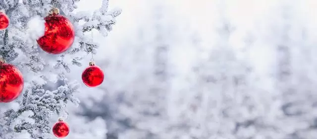 Horoskop for  Tirsdag 23 December 2025