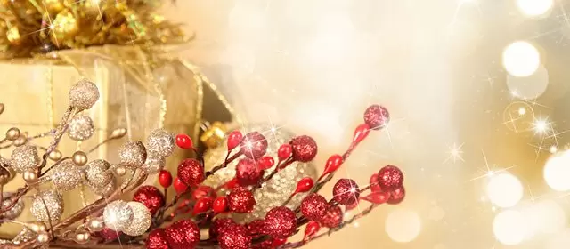 Horoskop for  Onsdag 24 December 2025