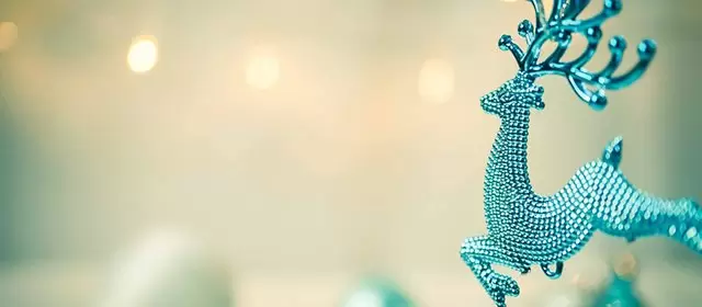 Horoskop for  Søndag 28 December 2025